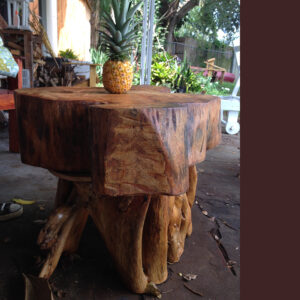 rustic-banyan-coffee-table-01-1