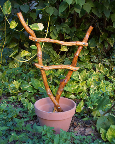 rustic wood trellis