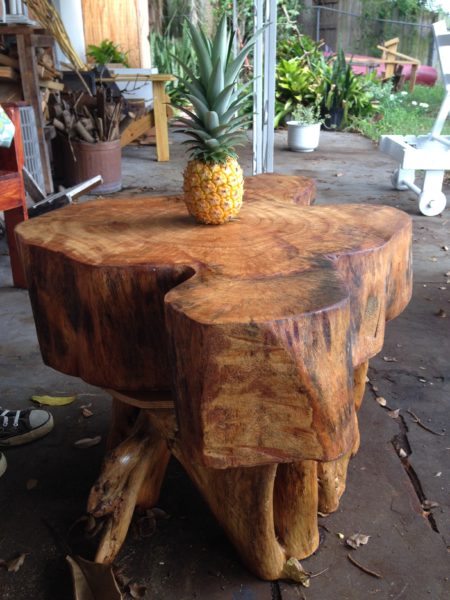 rustic banyan tree coffee table