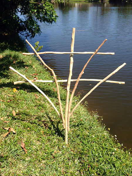 rustic wood tree branch trellis 1