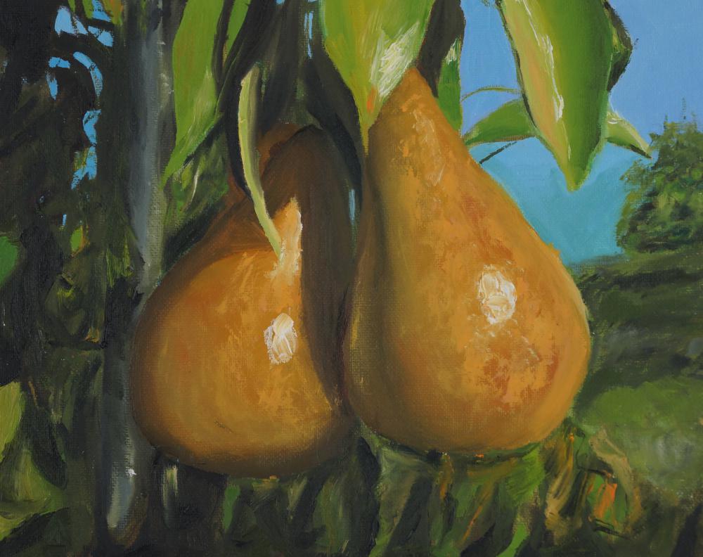 Oil painting of 2 pears outdoors