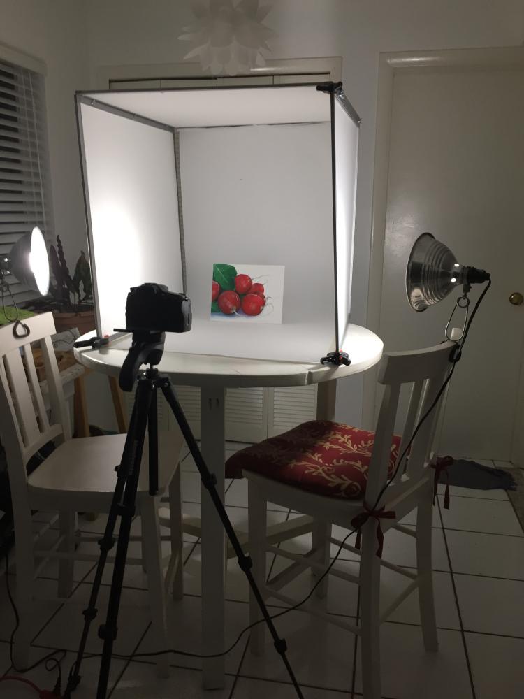 Portable photo light box