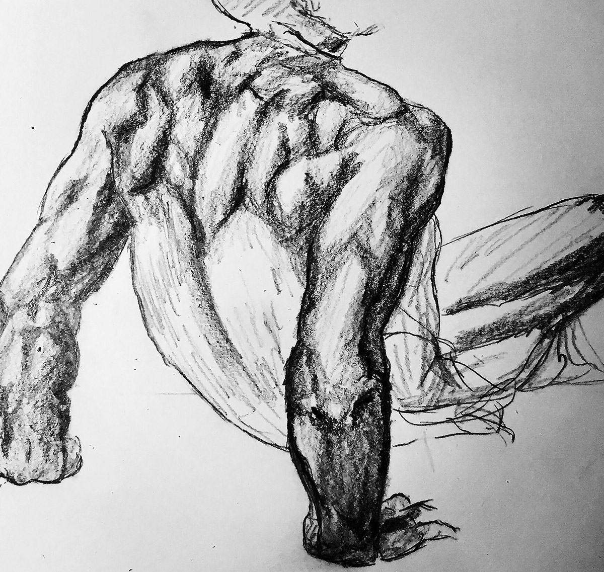 Graphite drawing of a male back after Michelangelo
