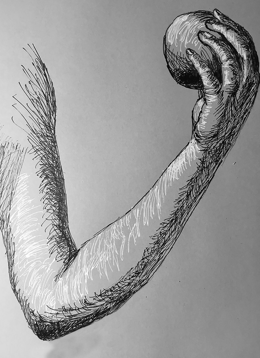 Pen and ink drawing of the Arm of Eve