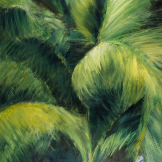 11”x14” Oil Painting of a Palm in South Florida on Panel