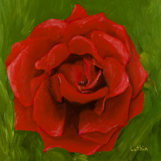 8"x10" Floral Oil Painting of a Red Rose on Panel.