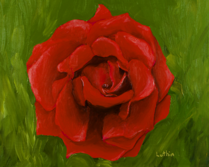 8"x10" Floral Oil Painting of a Red Rose on Panel.