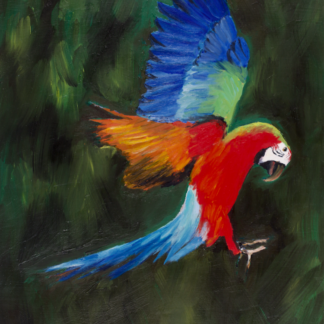 9”x12” Oil Painting of a Macaw Parrot on Panel