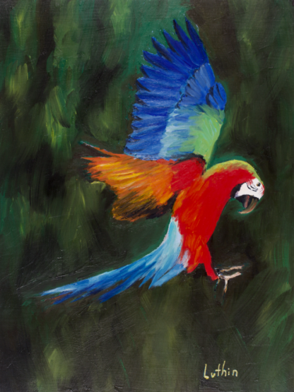 9”x12” Oil Painting of a Macaw Parrot on Panel