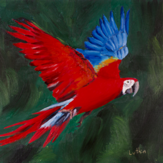 9”x12” Oil Painting of a Macaw Parrot on Panel