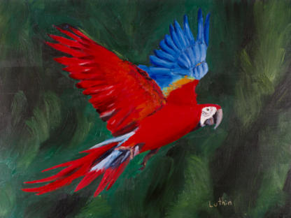 9”x12” Oil Painting of a Macaw Parrot on Panel