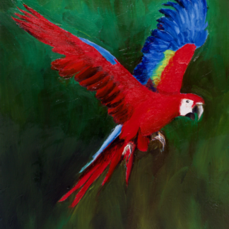 9”x12” Oil Painting of a Macaw Parrot on Panel
