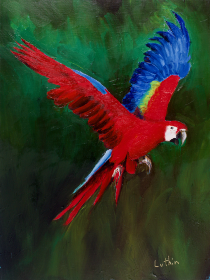 9”x12” Oil Painting of a Macaw Parrot on Panel