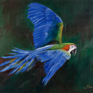 9”x12” Oil Painting of a Macaw Parrot on Panel