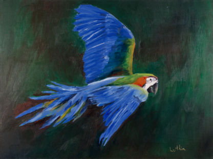 9”x12” Oil Painting of a Macaw Parrot on Panel