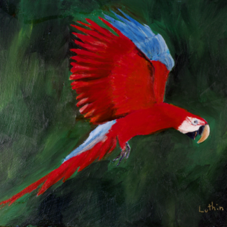 9”x12” Handpainted Macaw Parrot with Professional Quality Oil Paints on a Panel