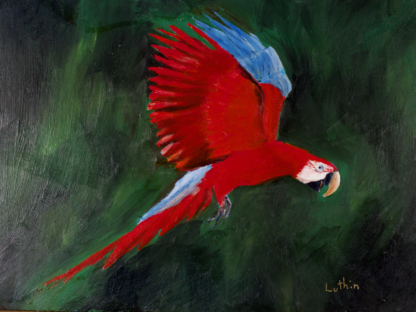 9”x12” Handpainted Macaw Parrot with Professional Quality Oil Paints on a Panel
