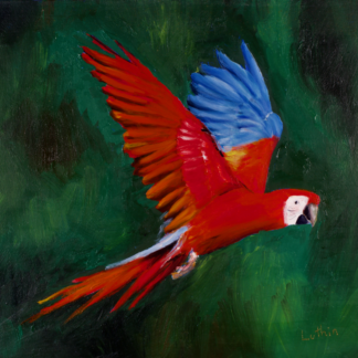9”x12” Oil Painting of a Macaw Parrot on Panel