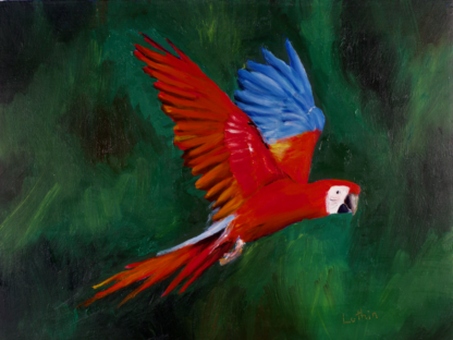 9”x12” Oil Painting of a Macaw Parrot on Panel