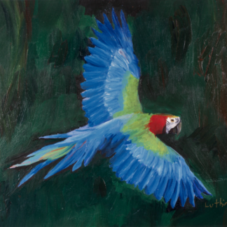 9”x12” Oil Painting of a Macaw Parrot on Panel