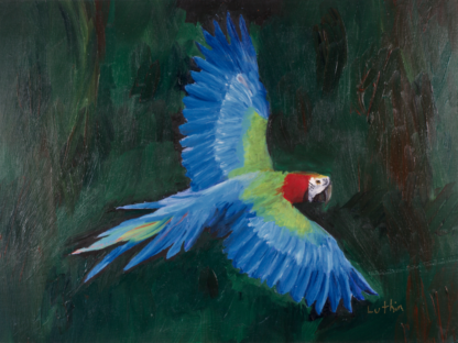9”x12” Oil Painting of a Macaw Parrot on Panel