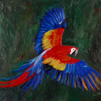 9”x12” Oil Painting of a Macaw Parrot on Panel