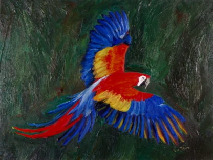 9”x12” Oil Painting of a Macaw Parrot on Panel