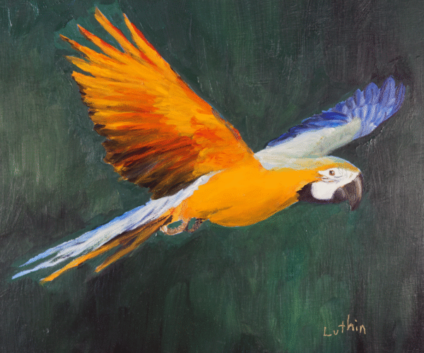 Image of a Parrot Flying Created in Oil Painting