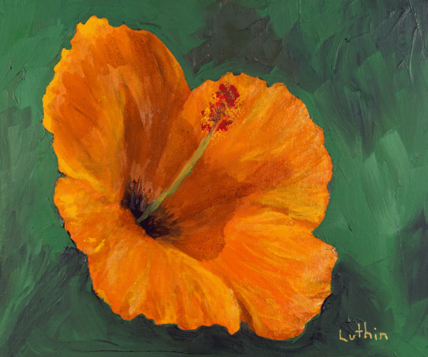 Image of a Hibiscus Flower. Created in Oil Paint by Brad Luthin